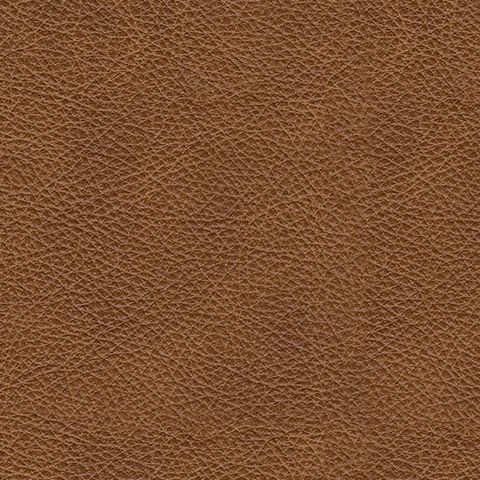 Emilia - 2-Piece Sectional Loveseat - Caramel
