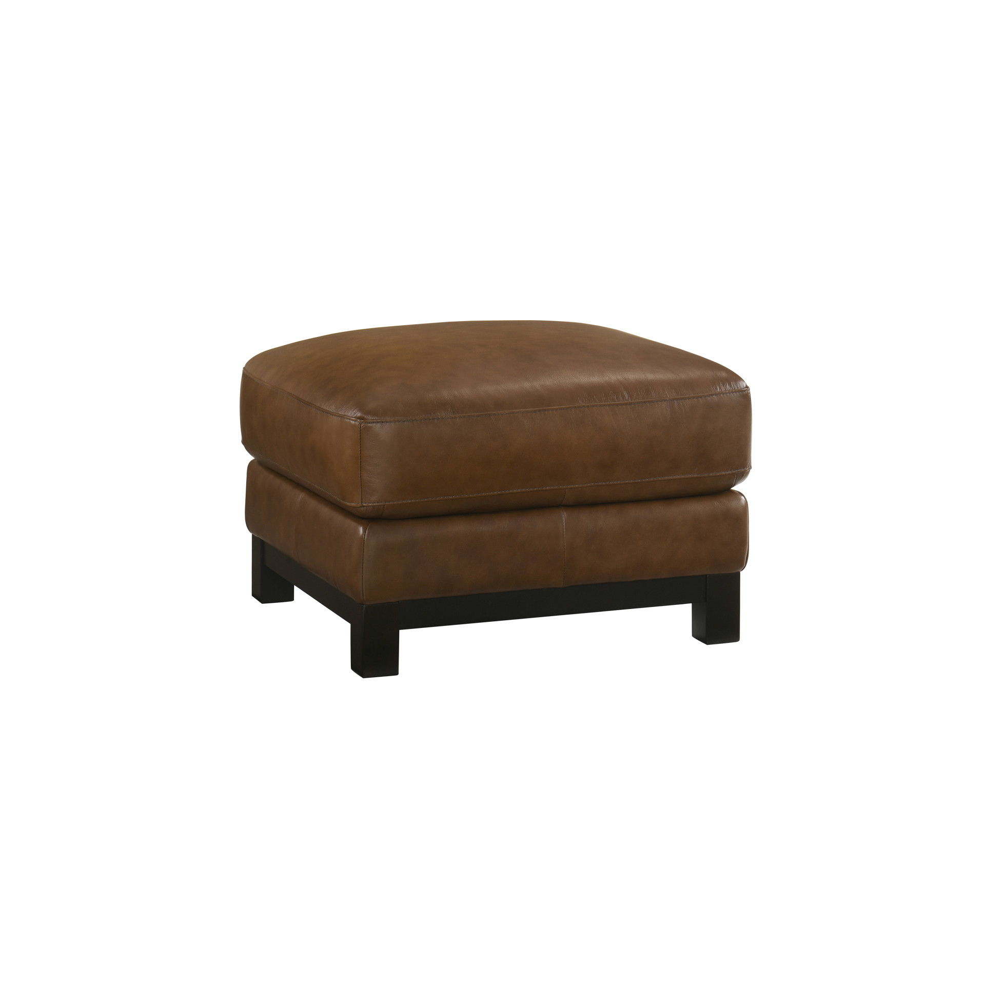 Sayer - Ottoman - Brown, dark brown