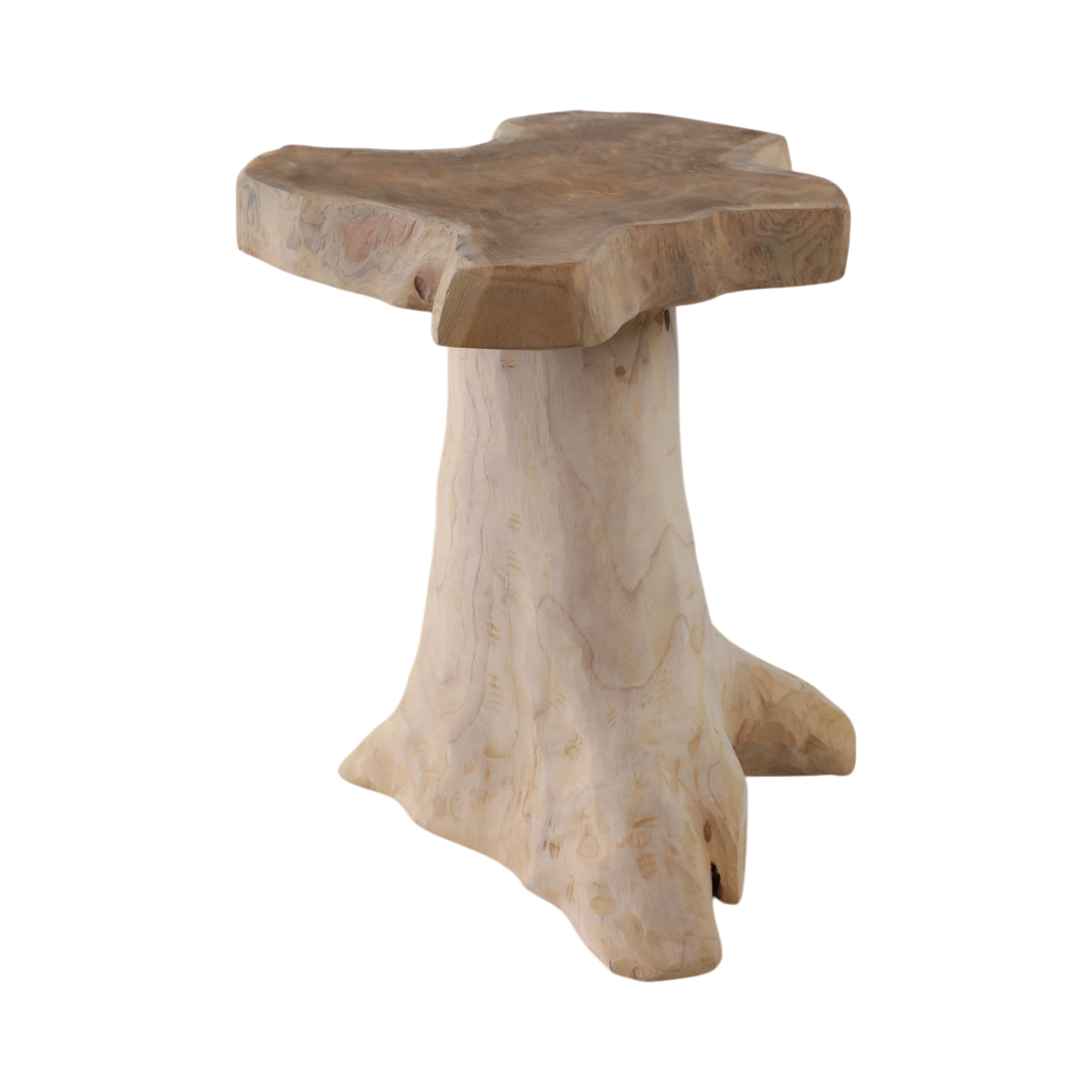18\" Teak Root Mushroom Accent Table - Natural Image