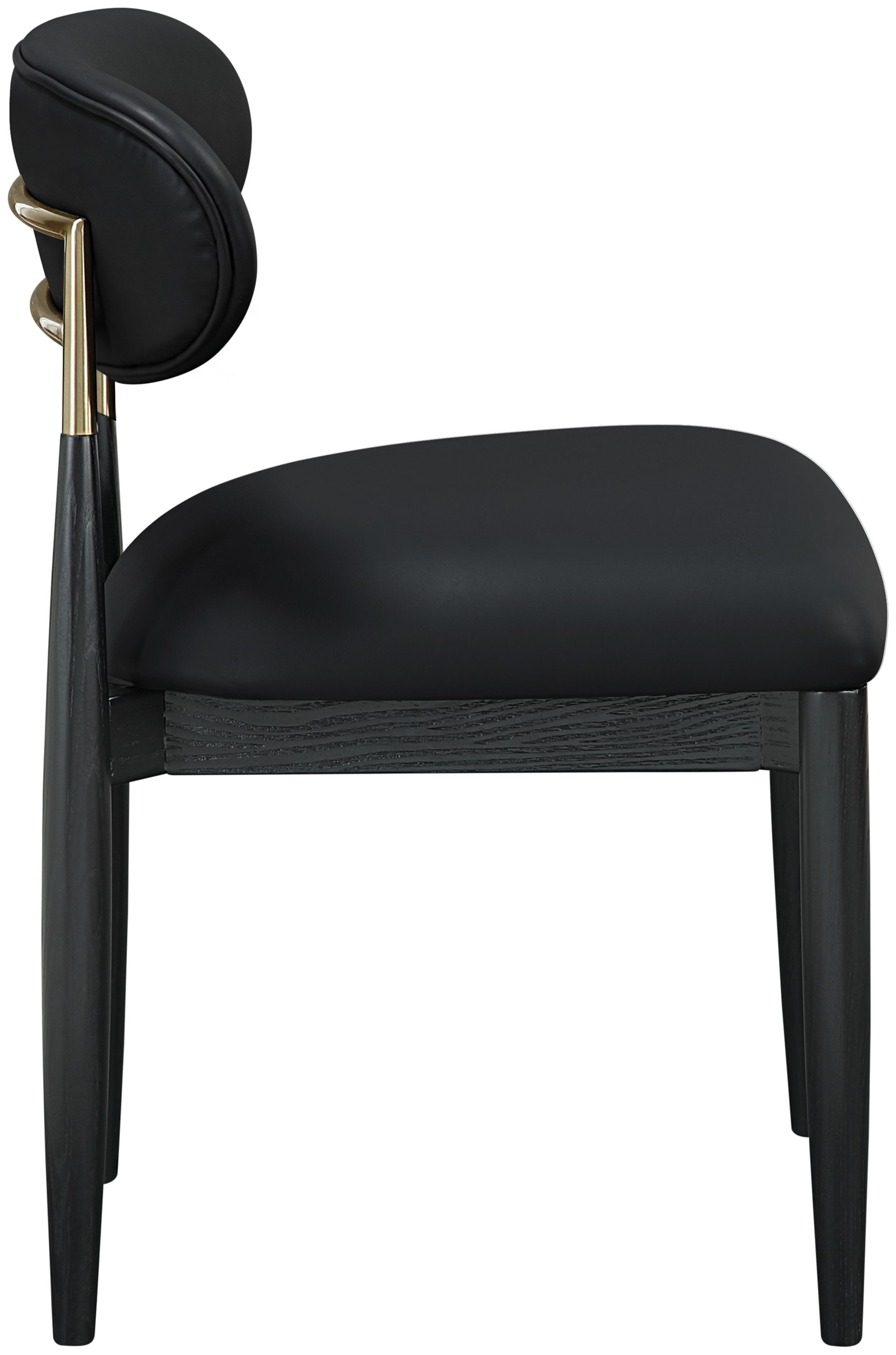 Riccio - Vegan Leather Dining Side Chair (Set of 2) - Black