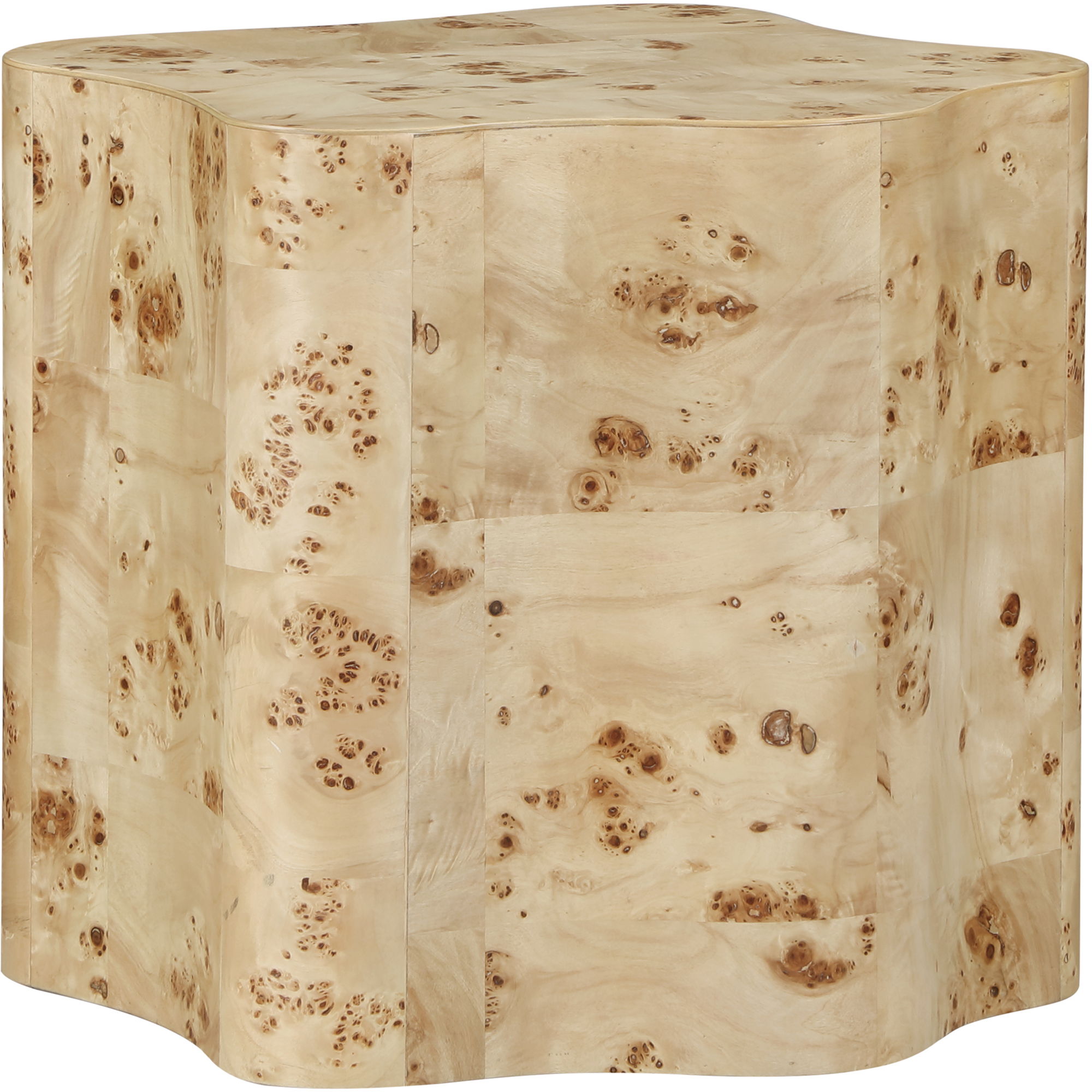 Zaire - Burl Wood End Table - Natural