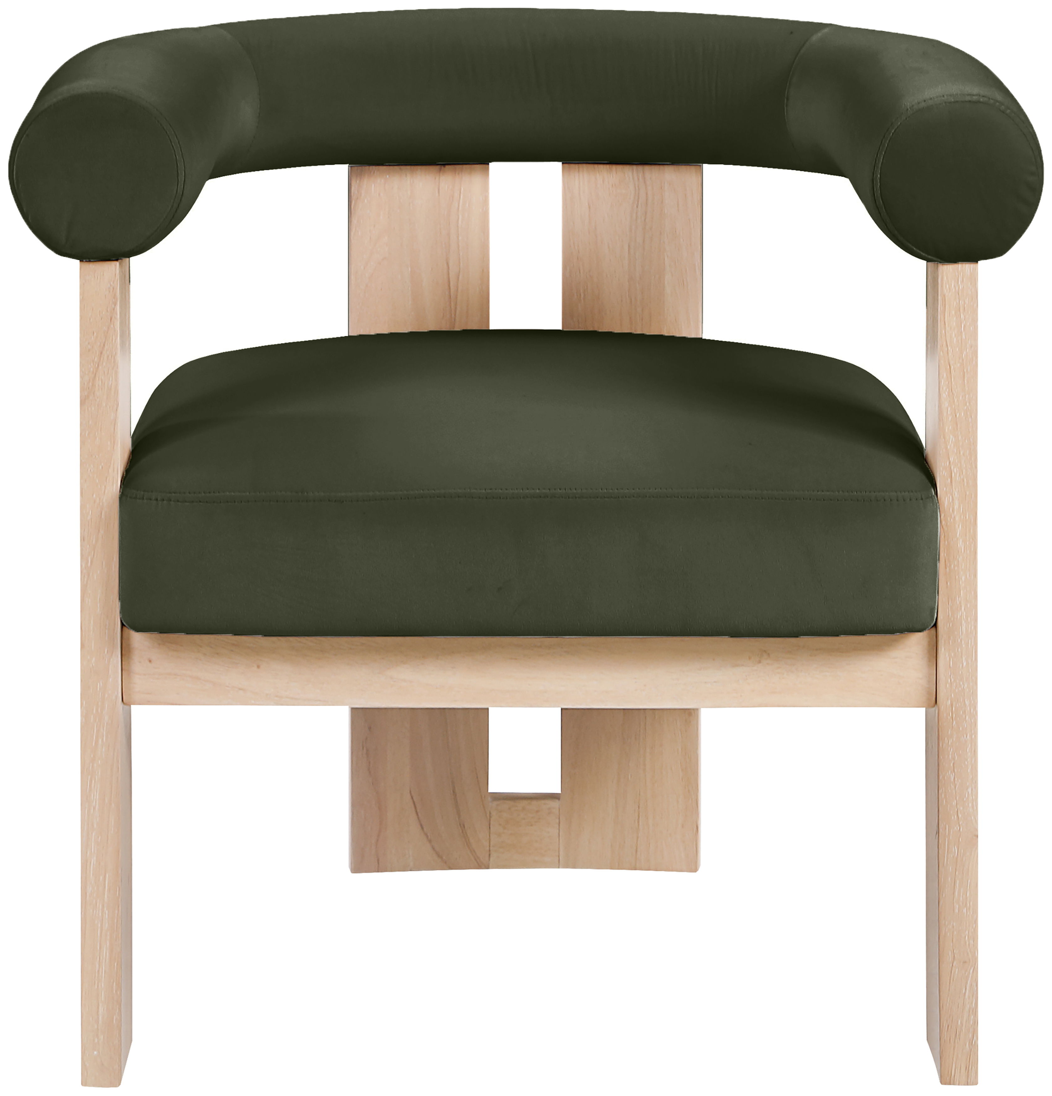 Arienzo - Performance Upholstered Accent Chair - Green