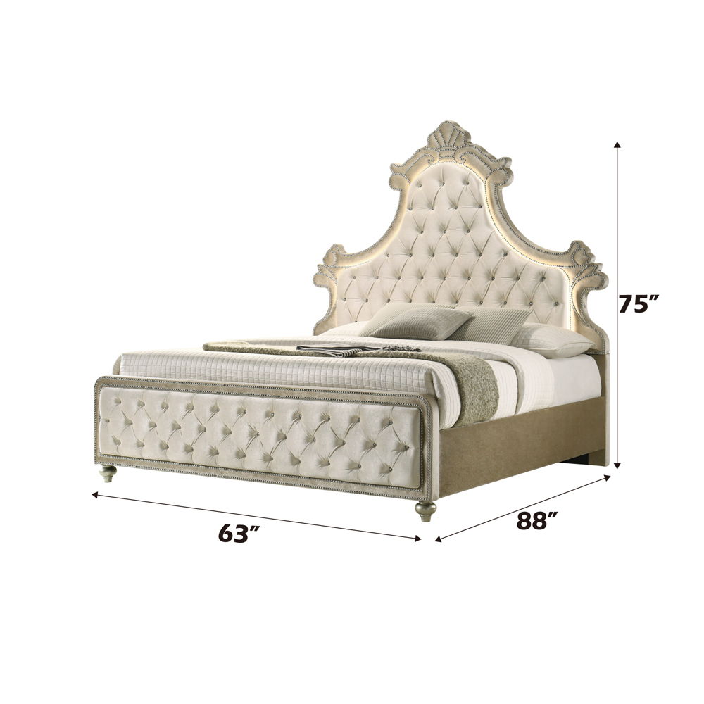 Lucienne - Queen Bed With LED - Beige Velvet, beige, view 4