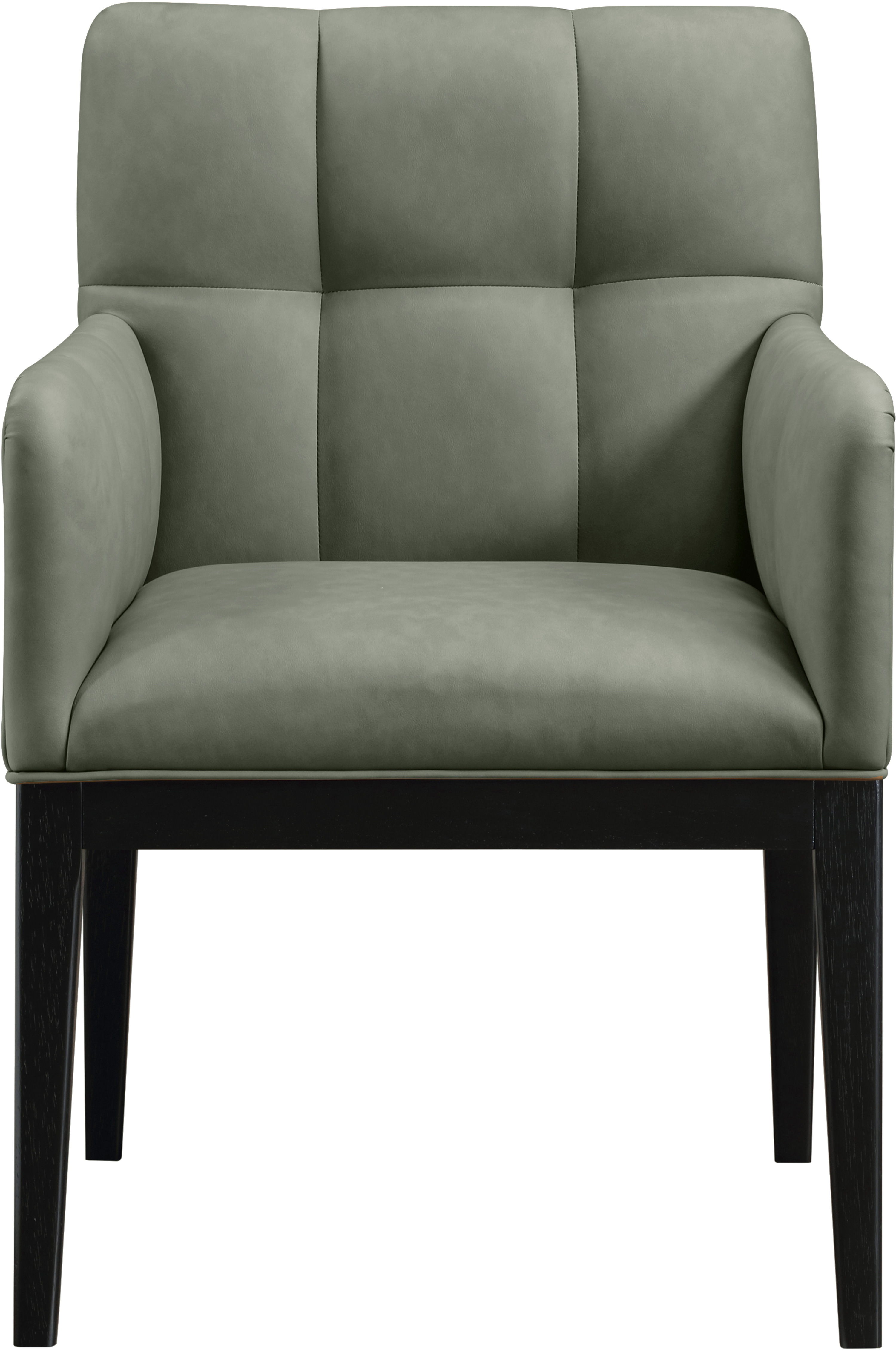 Adrian - Dining Arm Chair (Set of 2) - Green