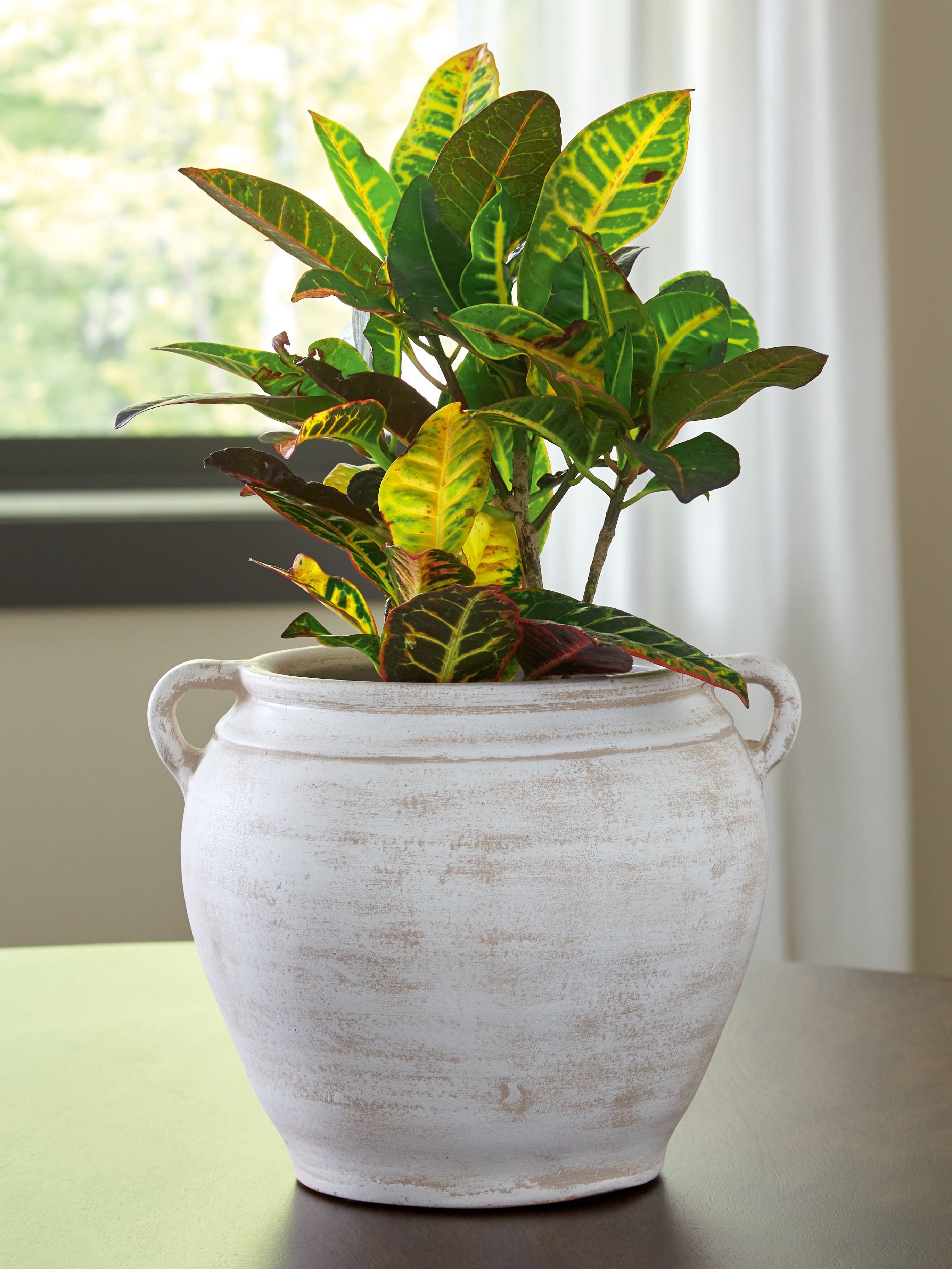 Meadie - 9" Vase - Distressed White