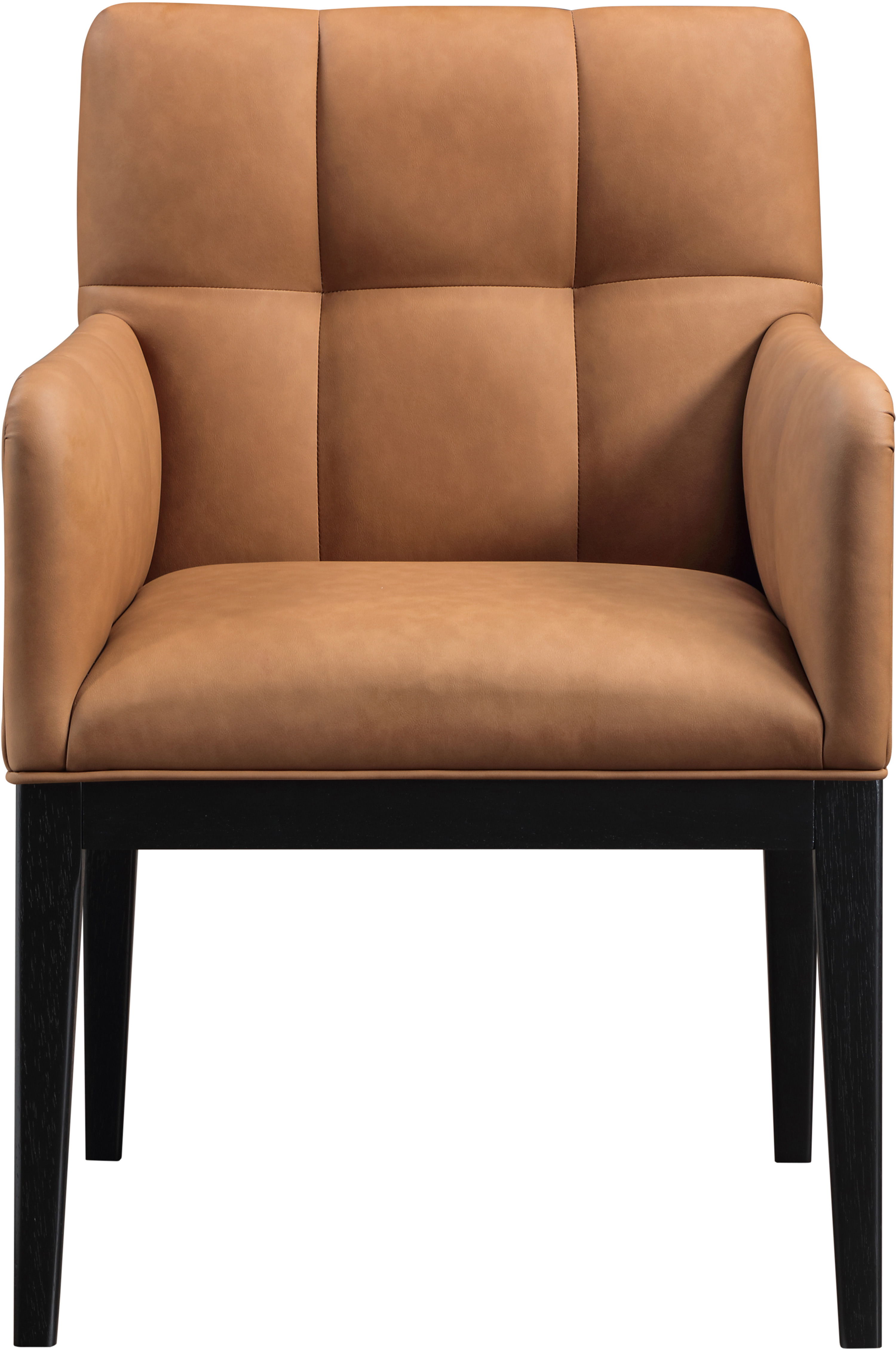 Adrian - Dining Arm Chair (Set of 2) - Cognac