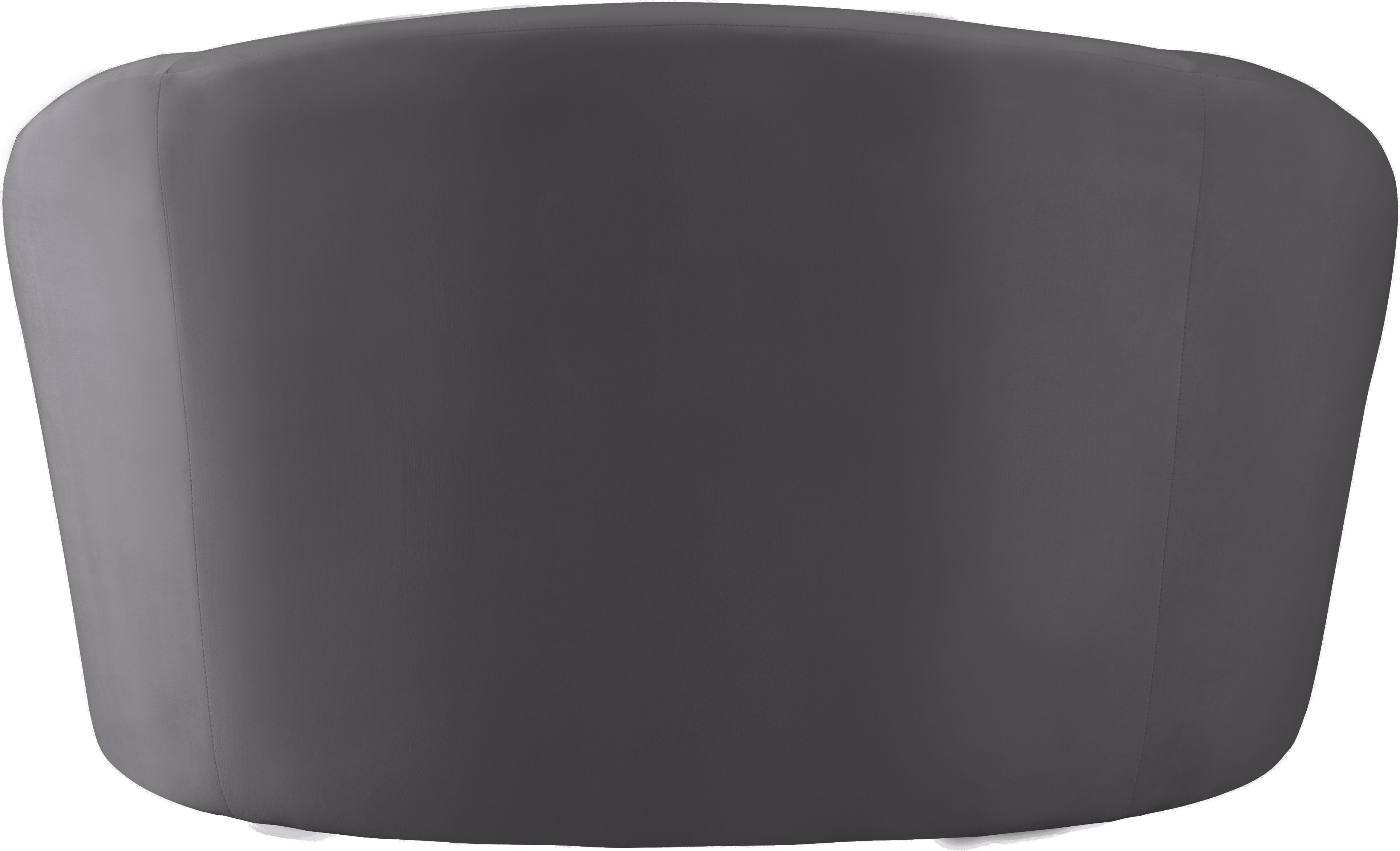 Riley - Velvet Chair - Gray