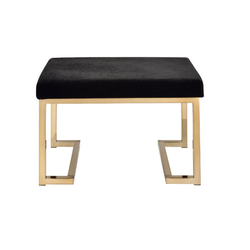 Boice - Ottoman - Black Fabric & Champagne, black