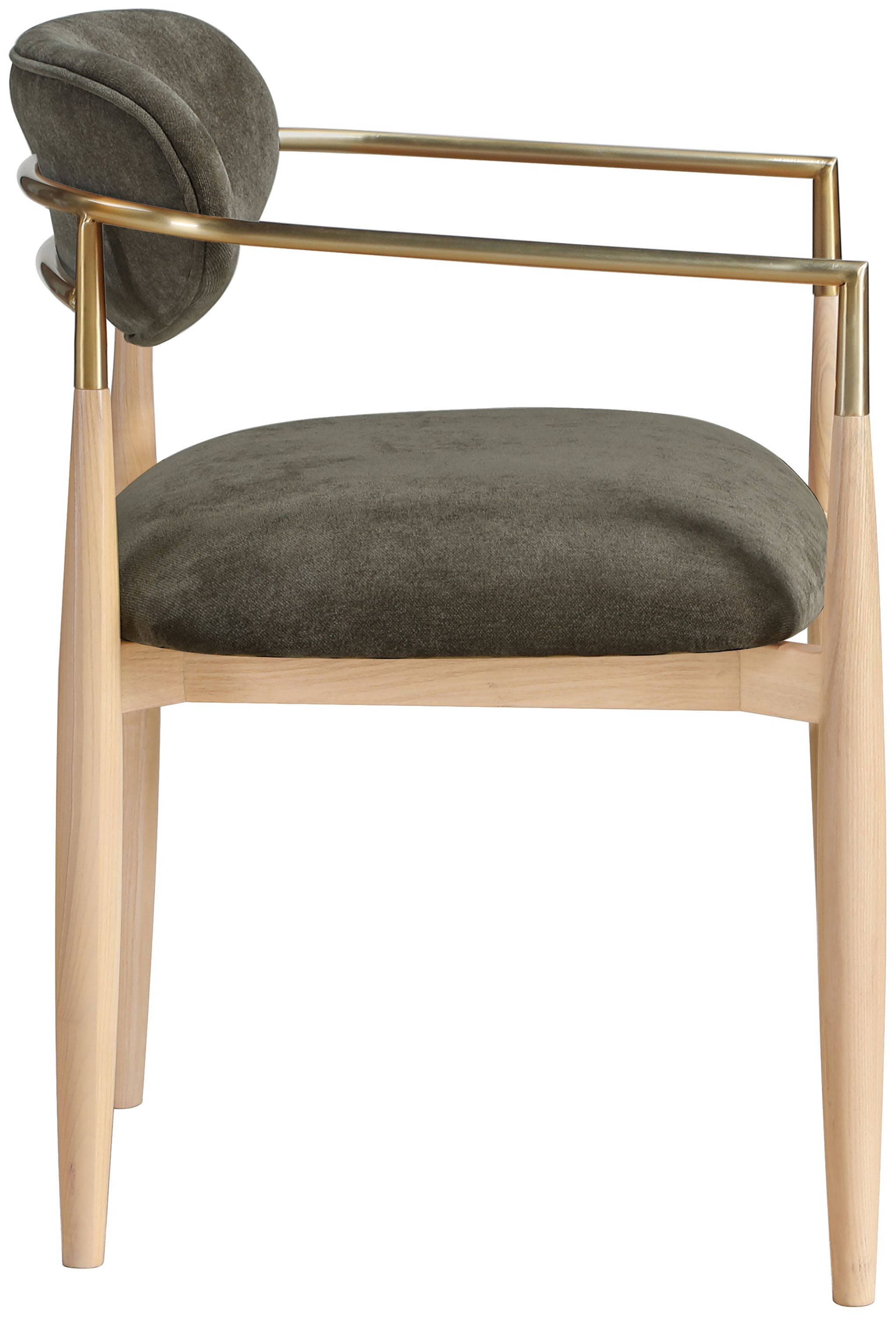 Riccio - Performance Fabric Upholstered Dining Arm Chair (Set of 2) - Brown