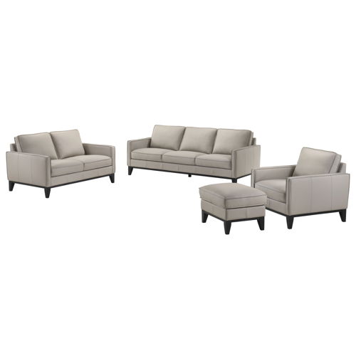 Aaron - 3 Pieces Leather Set (Manual Sofa, Loveseat, Chair) - Mist Gray, gray