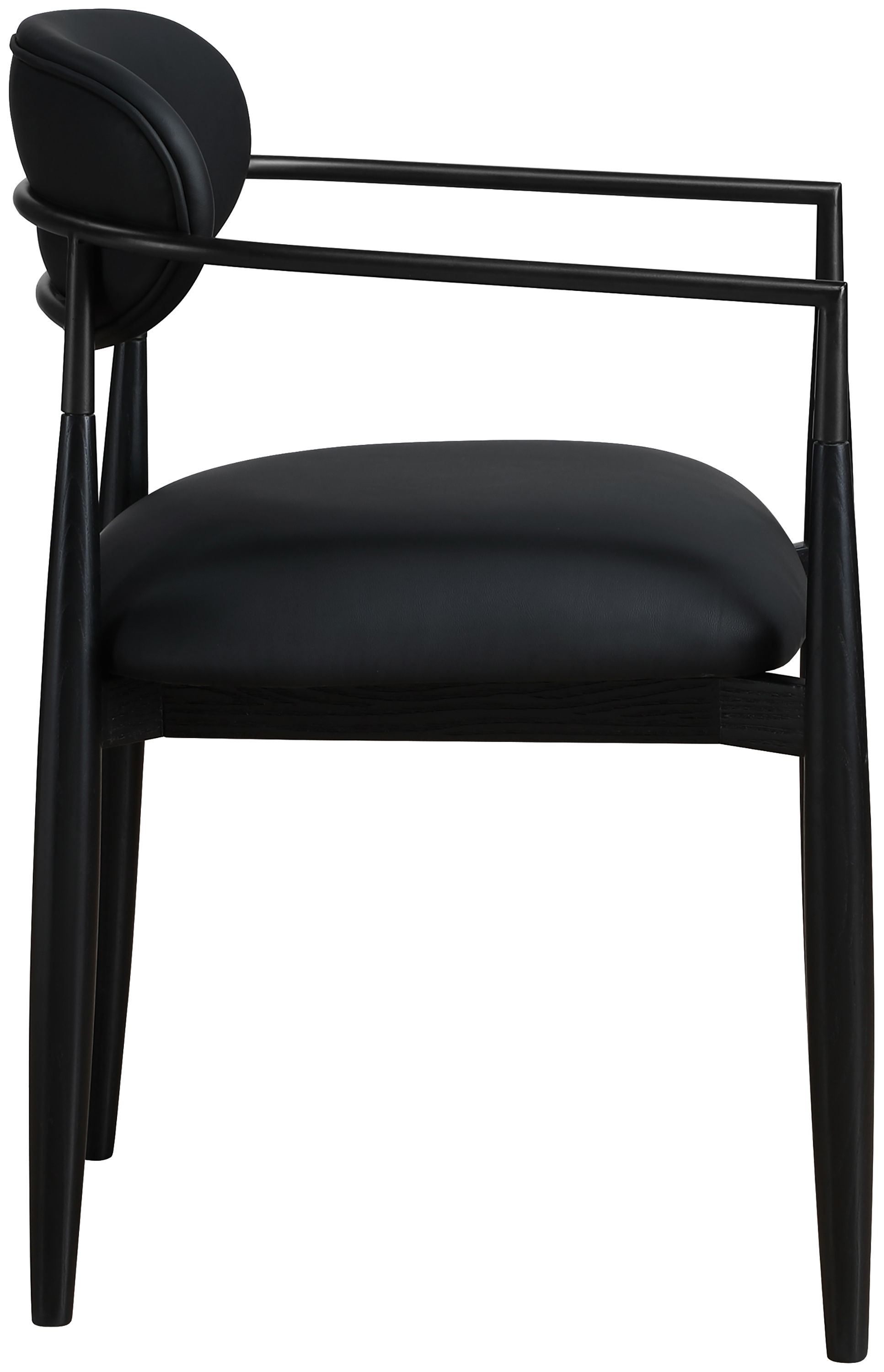 Riccio - Upholstered Dining Arm Chair (Set of 2) - Black