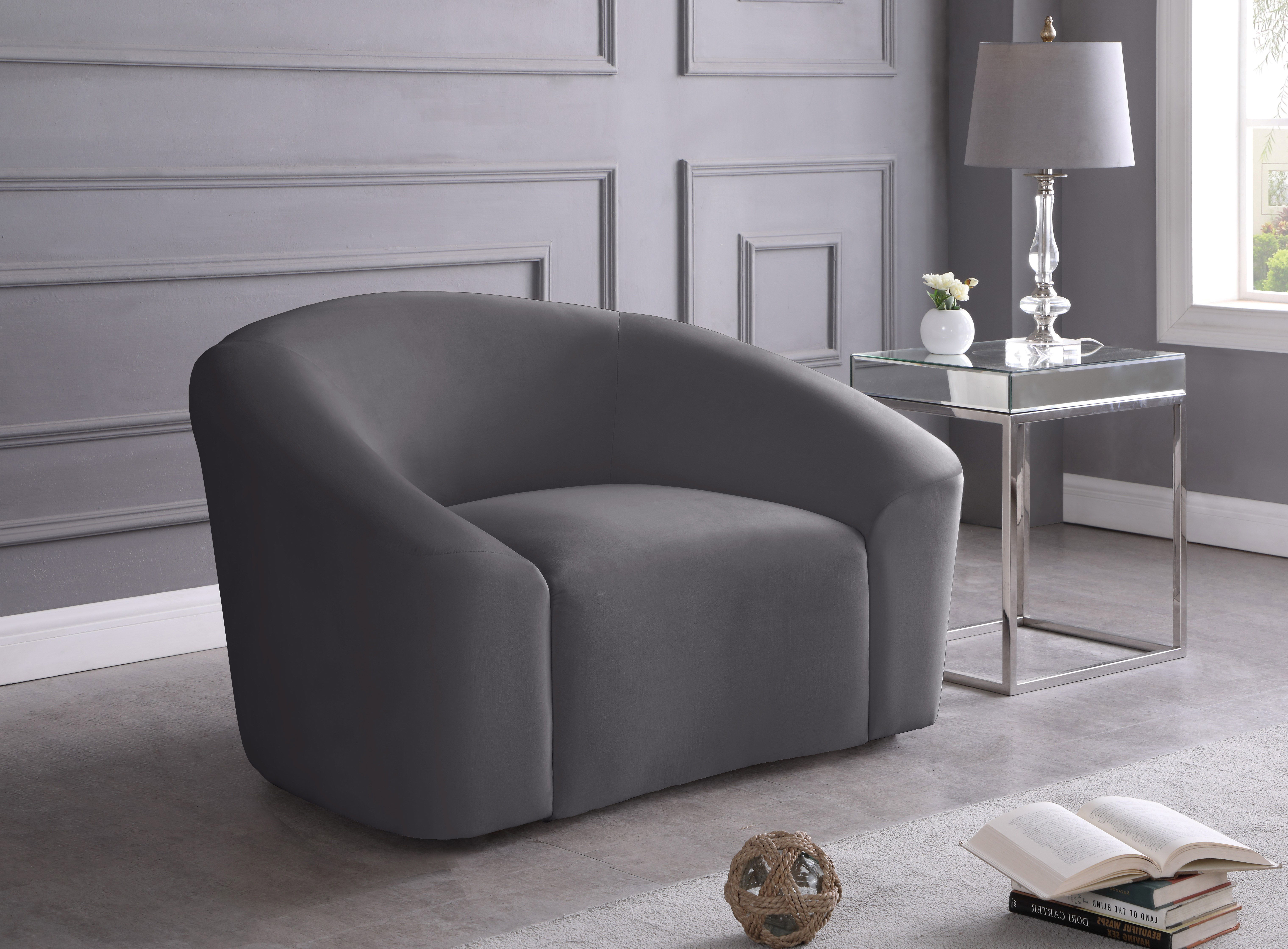 Riley - Velvet Chair - Gray