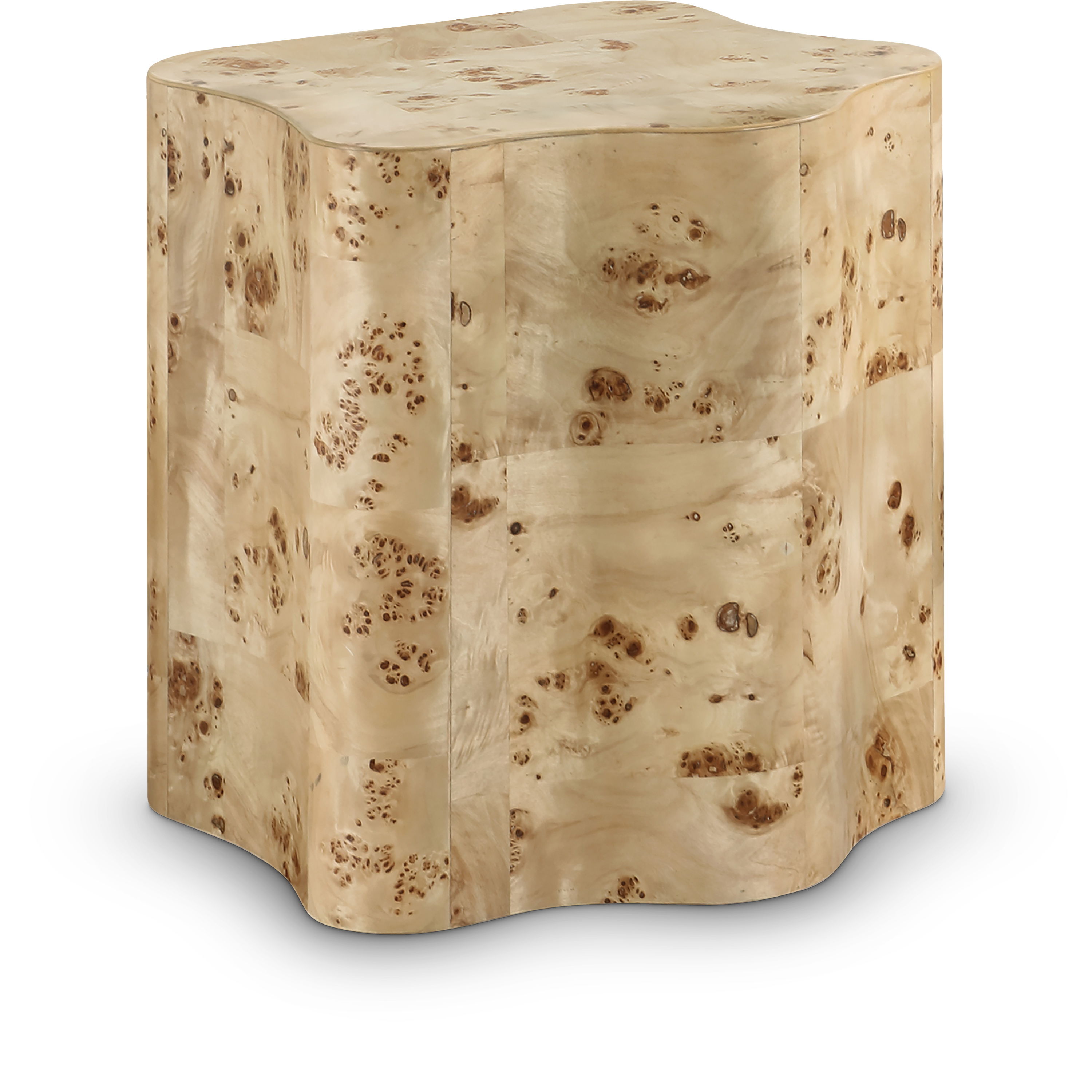 Zaire - Burl Wood End Table - Natural