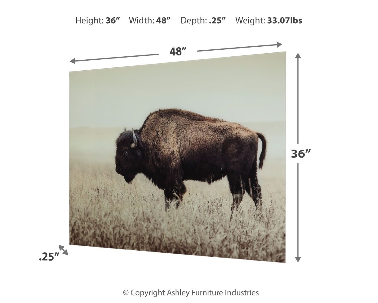 Ashley Furniture Brutus - Wall Art - Sepia - Image 4