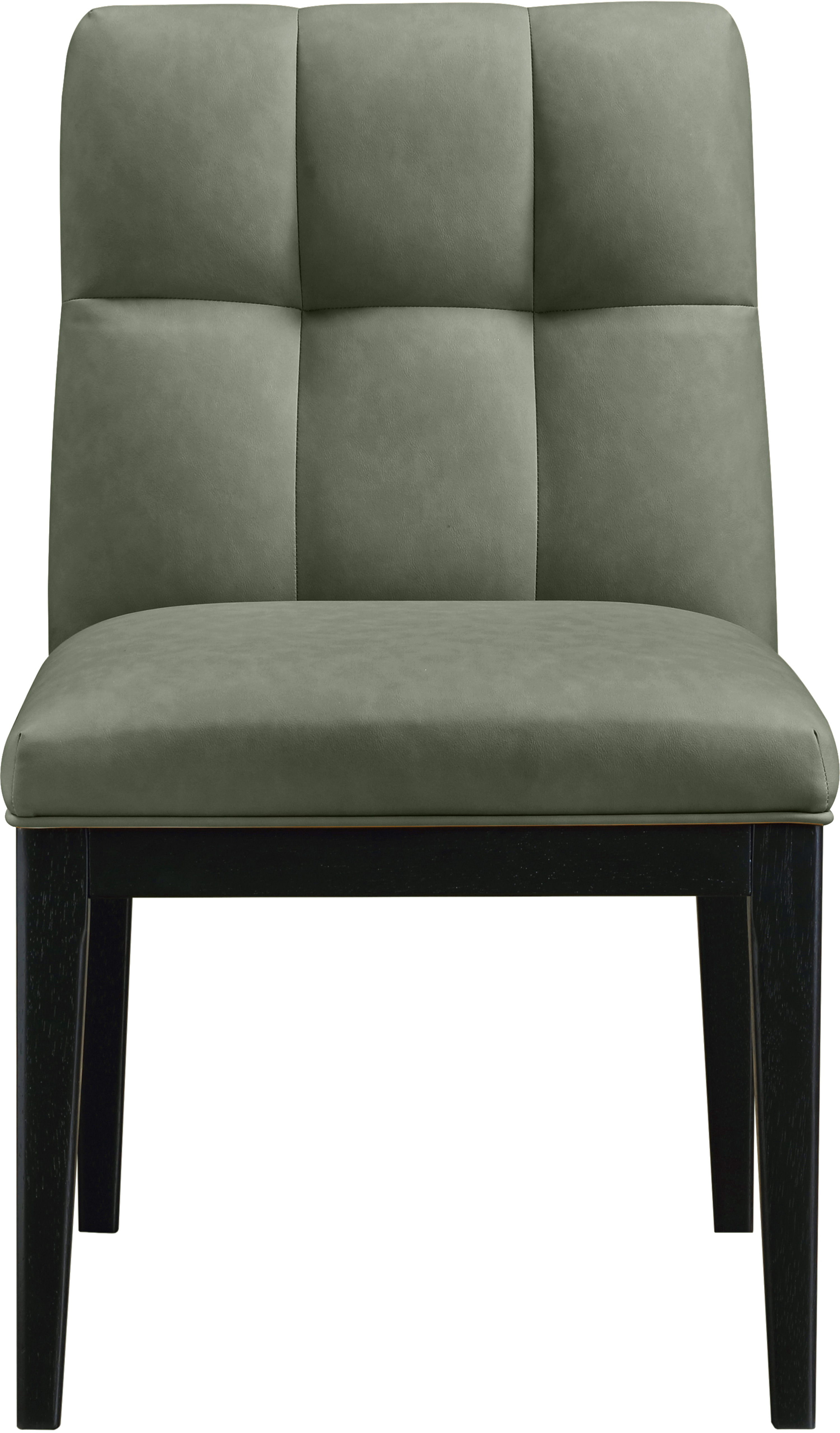 Adrian - Dining Side Chair (Set of 2) - Green