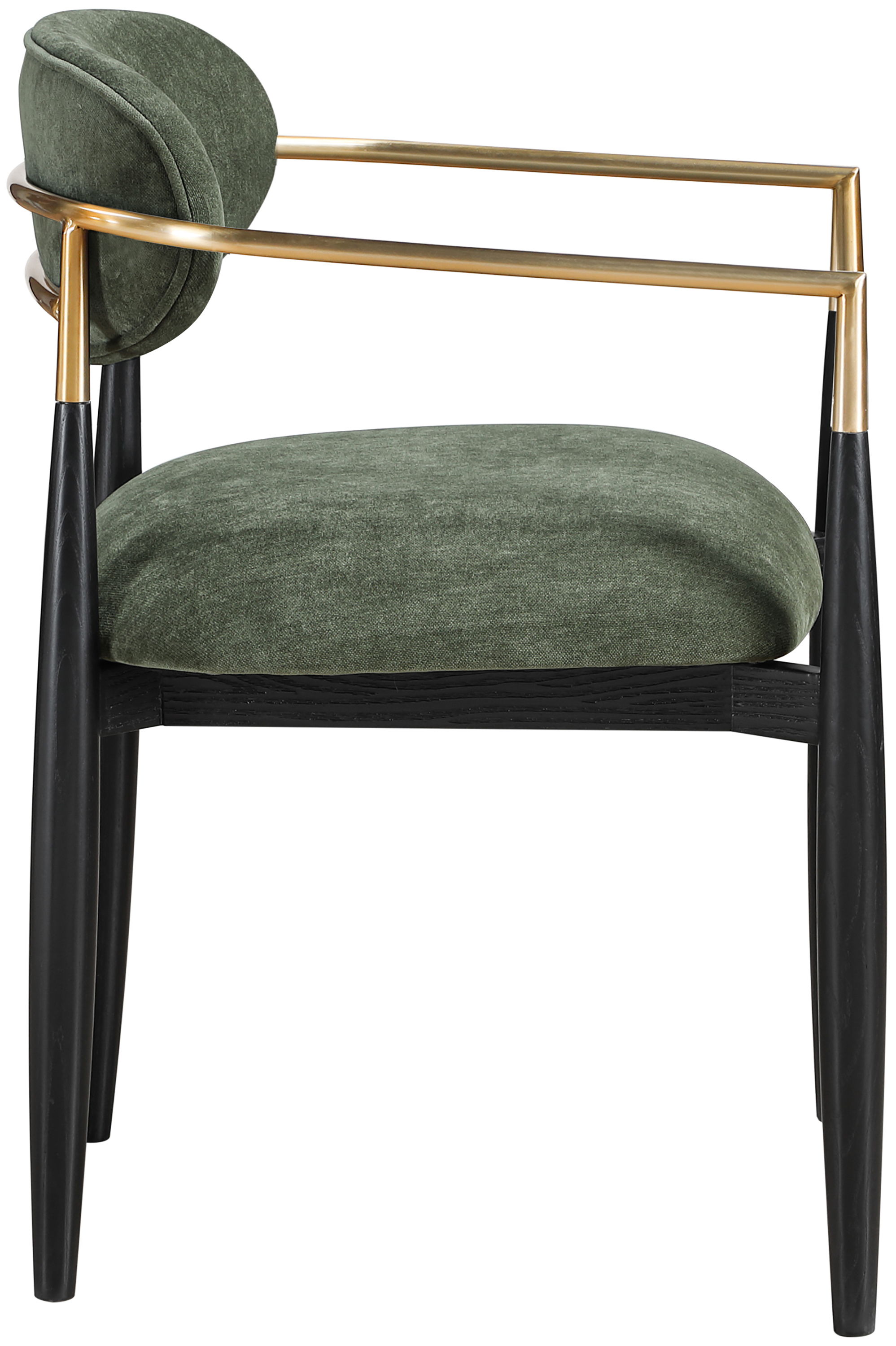 Riccio - Performance Fabric Upholstered Dining Arm Chair (Set of 2) With Black Legs - Olive