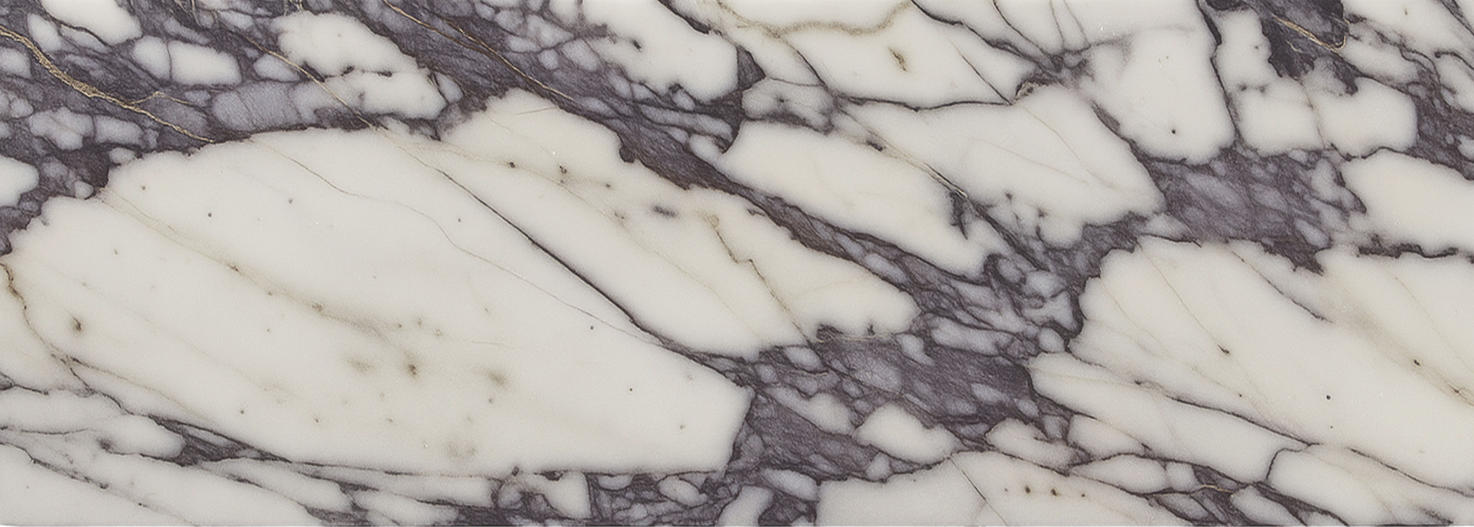 Bolzano - Marble Coffee Table - White / Gray