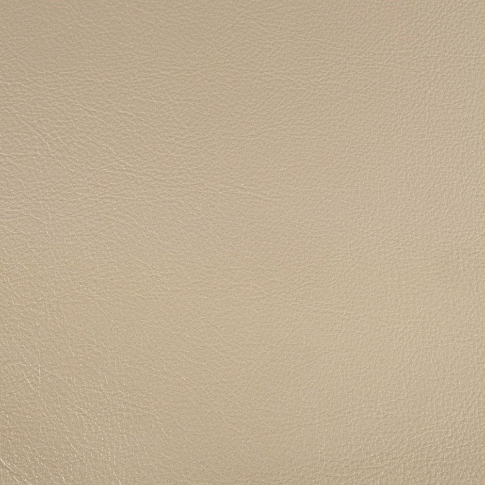 Danae - Side Chair (Set of 2) - Synthetic Leather , Champagne & Gold, beige, view 4