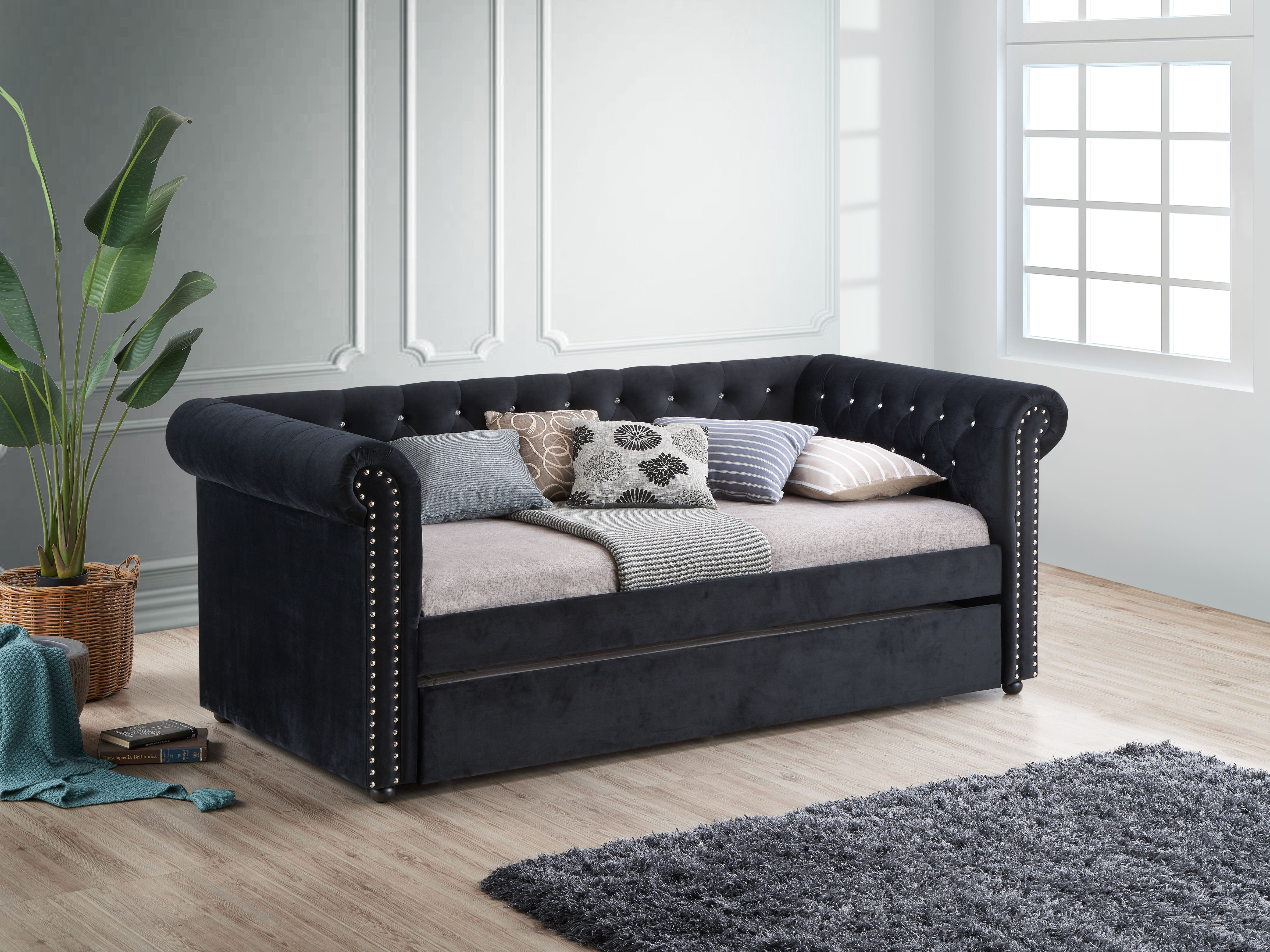 Ellie - Daybed - Black Image