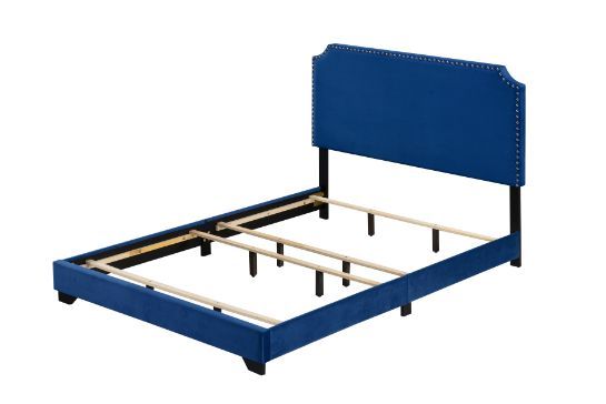 Haemon - Queen Bed - Blue Velvet, blue