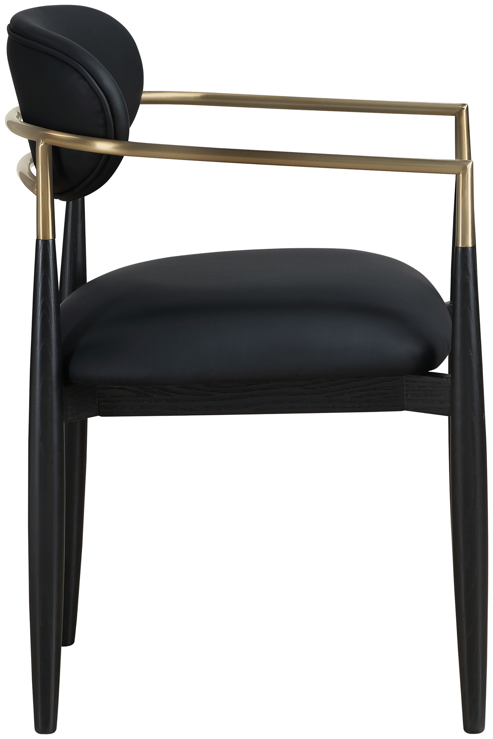Riccio - Dining Arm Chair (Set of 2) - Black