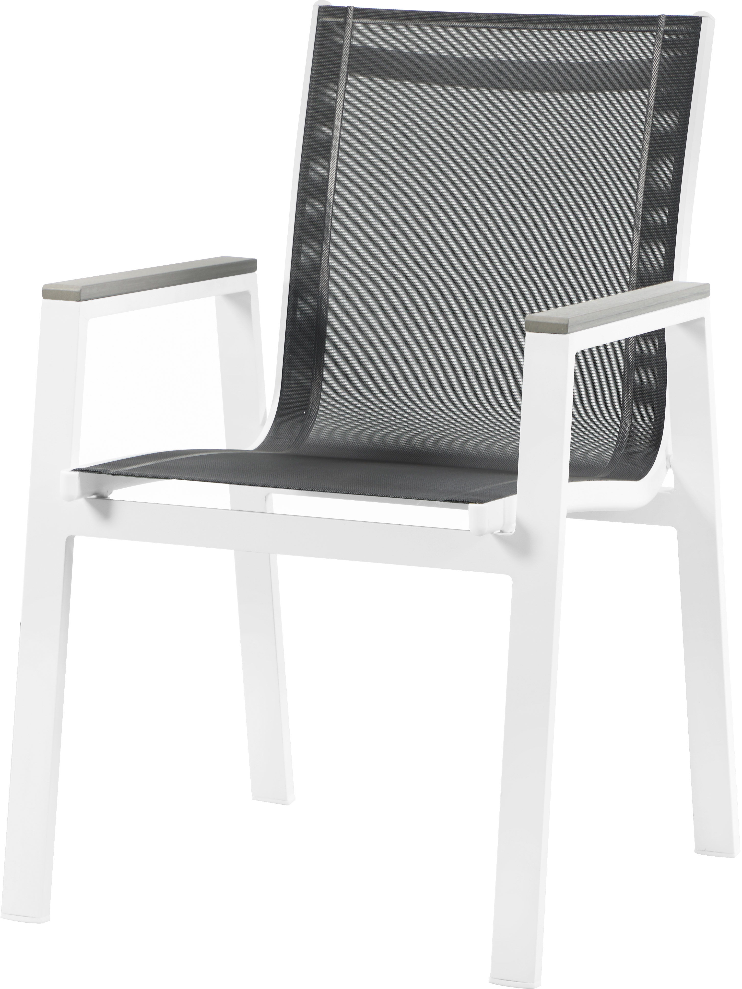 Nizuc - Outdoor Patio Dining Arm Chair With White Frame And Gray Arms (Set of 2) - Black