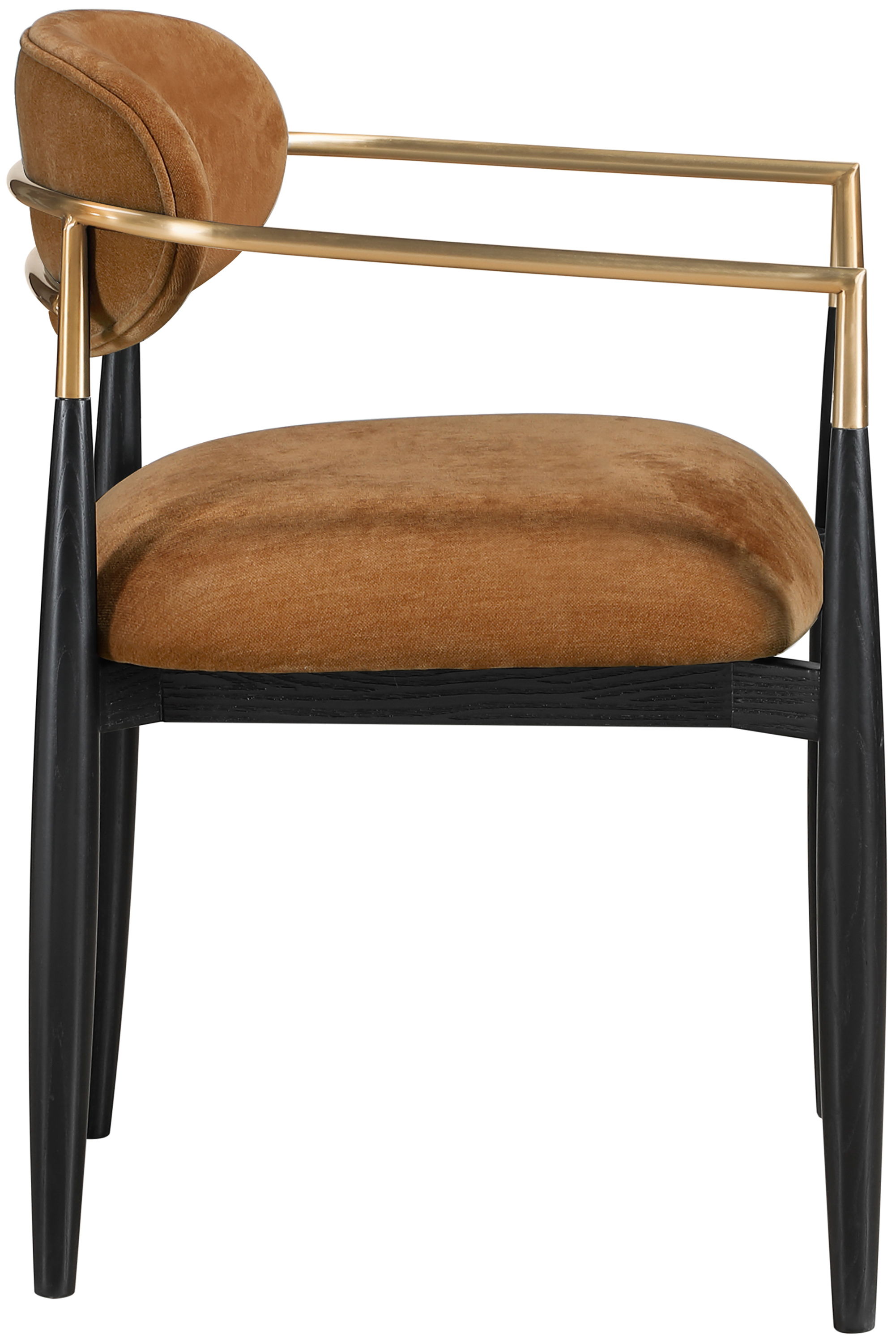 Riccio - Performance Fabric Dining Arm Chair (Set of 2) - Cognac
