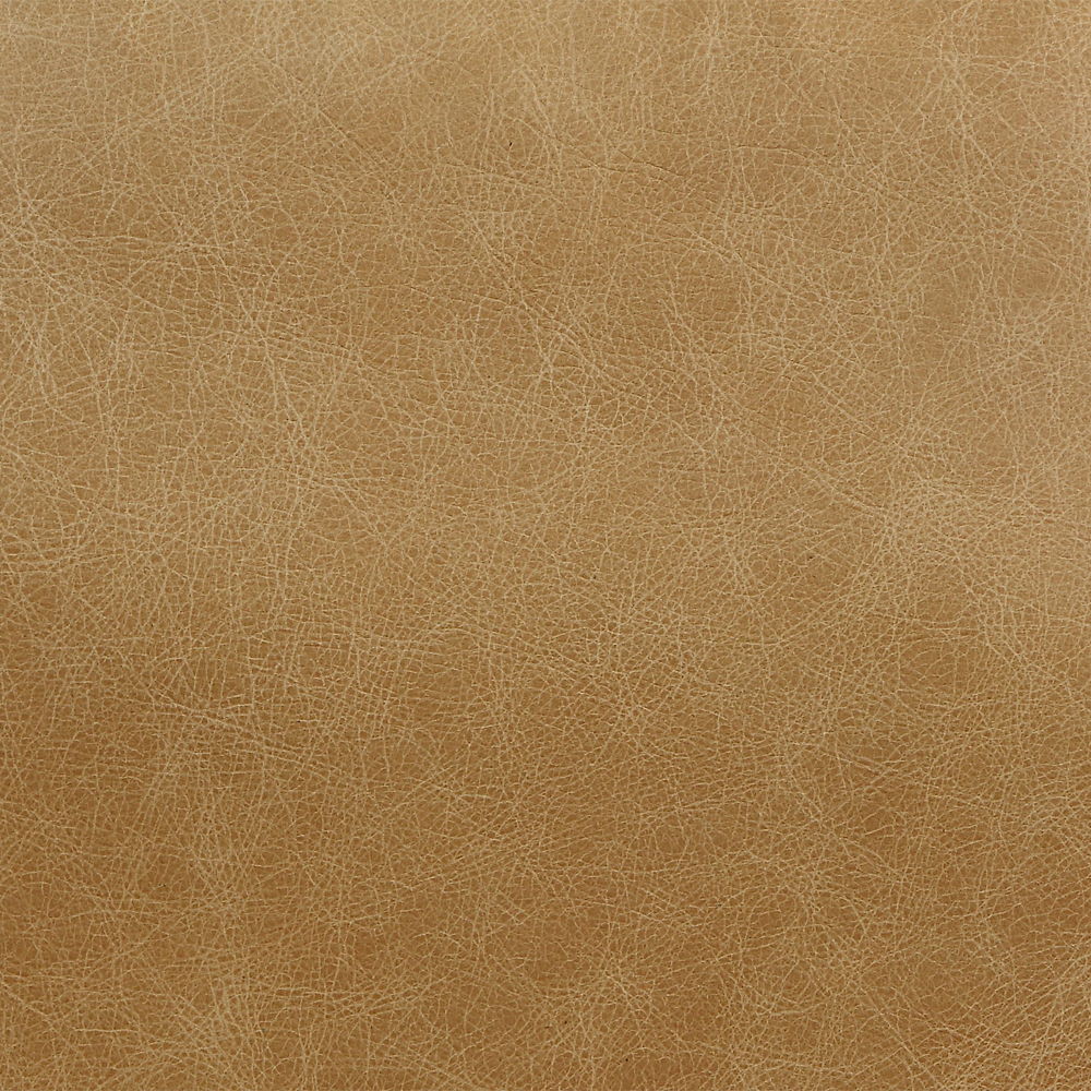 Pippin - Accent Chair - Morocco Top Grain Leather, light brown, view 6